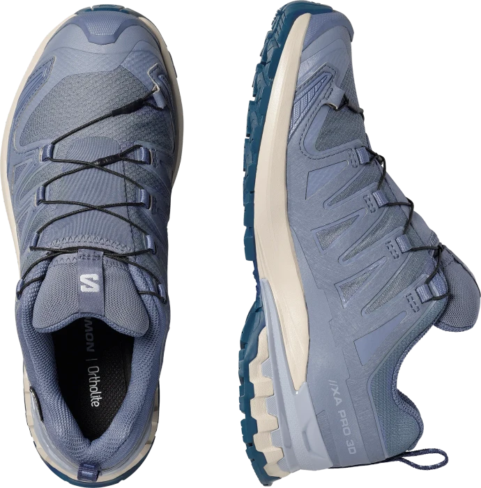 Salomon XA Pro 3D V9 GTX grisaille/tradewinds/spellbound (Damen)