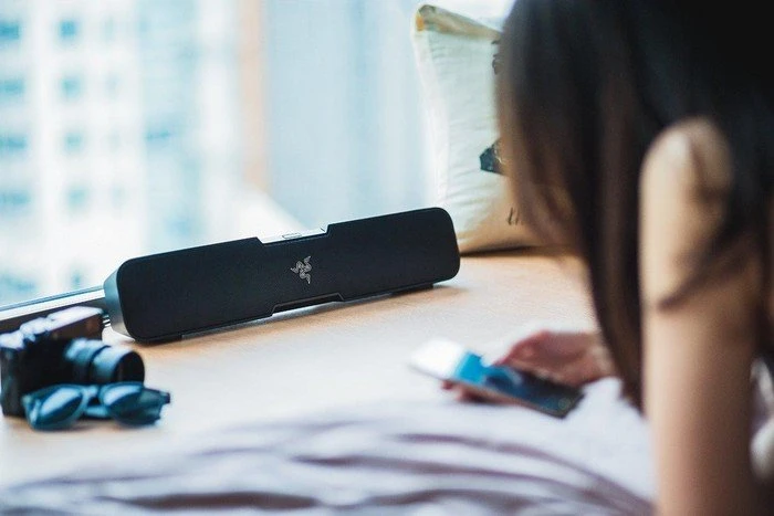 Razer Leviathan