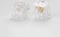 2Duck Everglide Aqua King V3 Water King Clear Body Linear Switch Set, 62gf, 30er-Pack Vorschaubild