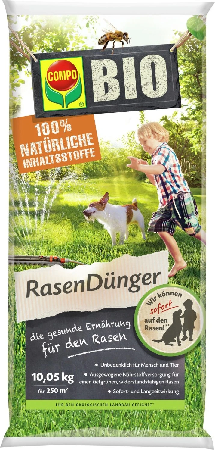 zierkohl saatgut Zierkohl in Mischung (x3) - Brassica