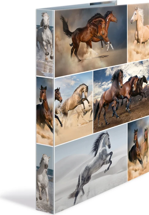 Herma 4D Ringbuch 4-Ring, 30mm, A4, Motiv Pferde