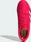 adidas Predator Club SG lucid red/cloud white/core black (Junior) Vorschaubild