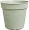Elho Green Basics Anzuchttopf Vorschaubild