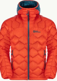 Jack Wolfskin Alpspitze Down Hoody Funktionsjacke wild brier (Herren)