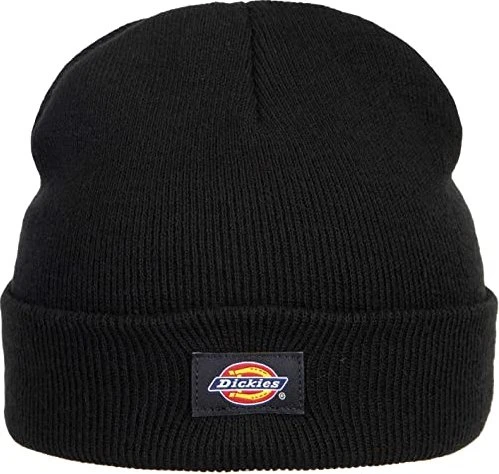 Dickies Gibsland Mütze
