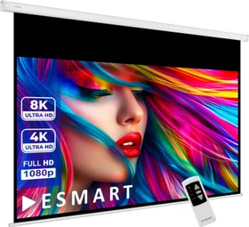 eSmart Germany Tageslicht Motor Leinwand Mimoto Grau 295x165cm