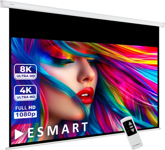 eSmart Germany Tageslicht Motor Leinwand Mimoto Grau 295x165cm