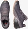 Salomon Speedcross 5 GTX mysterioso/quail/sirocco (Damen) Vorschaubild