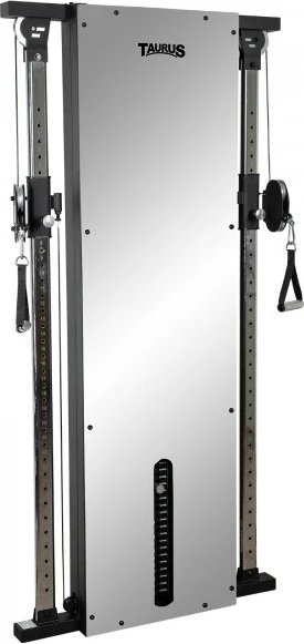 Taurus Taurus Design Line Dual Pulley 66kg mirror Kraftstation