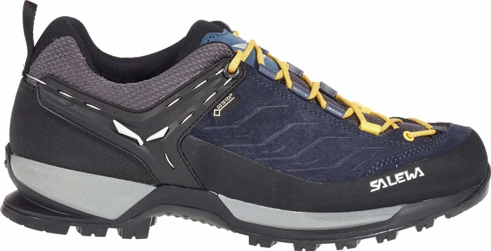 Salewa Mountain Trainer GTX night black/kamille (Herren)