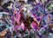 Ravensburger Puzzle Marvel Villainous Killmonger Vorschaubild