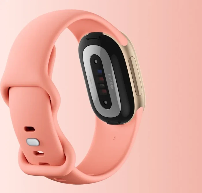 Google Fitbit Edge Aktivitäts-Tracker canyon