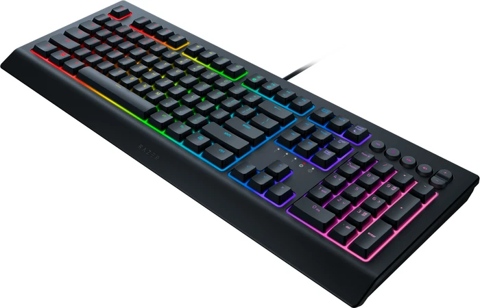 Razer Cynosa V2, USB, IT