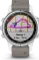 Garmin Fenix 5S Plus Sapphire grau Vorschaubild