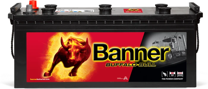 Banner Buffalo Bull 62034