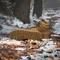 adidas Terrex Snowpitch Cold.RDY bronze strata/semi impact orange Vorschaubild