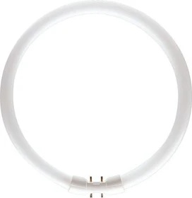 Philips Master TL5 Circular 40W/840 1CT/10 2GX13