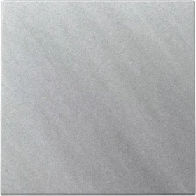 Gira System 55 Wippe, Farbe Alu