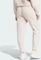 adidas Z.N.E. Trainingshose lang putty mauve (Damen) Vorschaubild