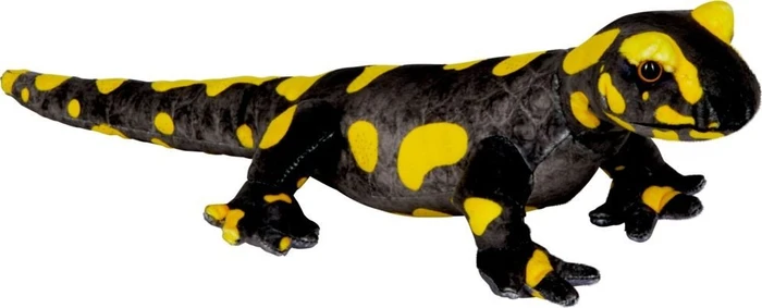 Coppenrath Nature Zoom Wild - Feuersalamander 47cm