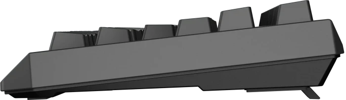 Genesis Thor 230 TKL Wireless, schwarz, LEDs RGB, hot-swap, Outemu Panda, USB/Bluetooth, US