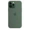 Apple Silikon Case mit MagSafe für iPhone 13 Pro Max Eukalyptus Vorschaubild