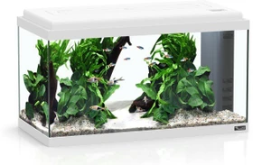 Aquatlantis Starter Kits, Advance LED 60 weiß