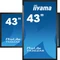 iiyama ProLite T4362AS-B1, 42.5" Vorschaubild