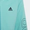 adidas Essentials Hoodie semi mint rush/black (Junior) Vorschaubild