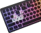 Genesis Thor 430 TKL, schwarz, LEDs RGB, hot-swap, Silent Low-Profile Linear, USB, US Vorschaubild