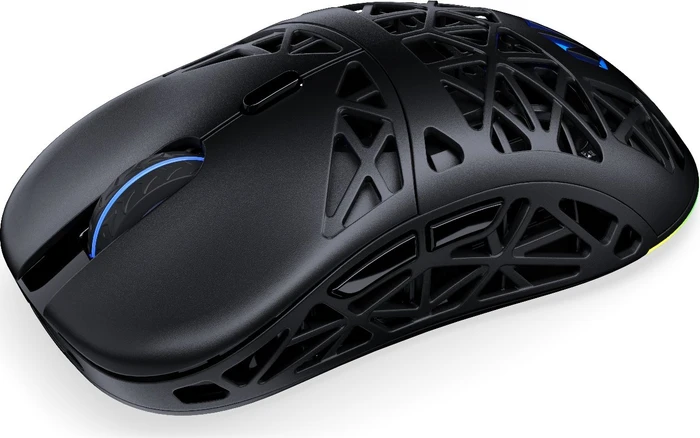 Endorfy LIV Plus Wireless, schwarz, USB/Bluetooth