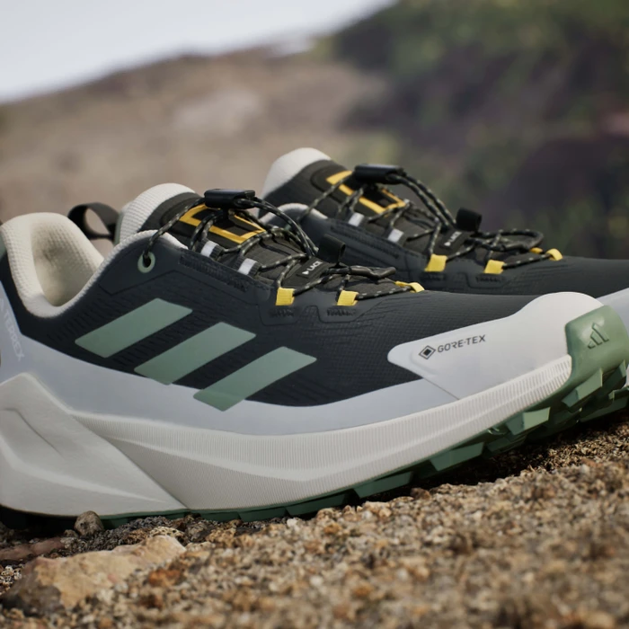 adidas National Geographic Terrex Trailmaker 2 GTX Speed Lace carbon/silver green/orbit grey (Herren)