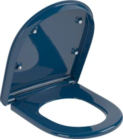 Villeroy & Boch Vicare WC-Sitz