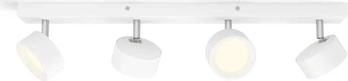 Philips Bracia Spot