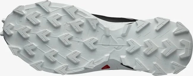 Salomon Supercross 4 GTX lunar rock/black/white (Herren)