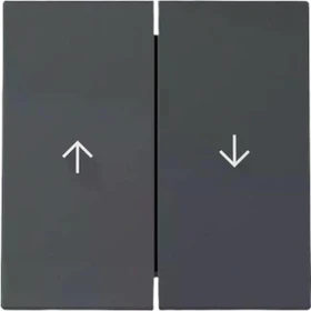 Gira Wippe 2fach mit Pfeilsymbol, anthrazit