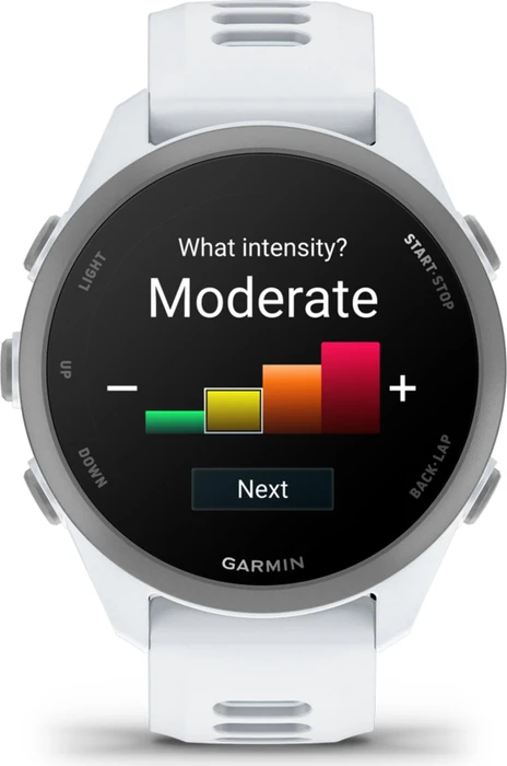 Garmin Forerunner 170 Music whitestone/whitestone-cloud blue