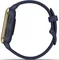 Garmin Venu SQ Music navy/light gold Vorschaubild