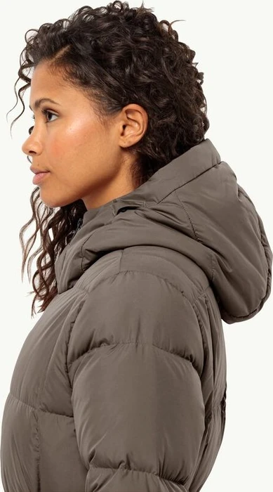 Jack Wolfskin Frozen Lake Funktionsmantel cold coffee (Damen)