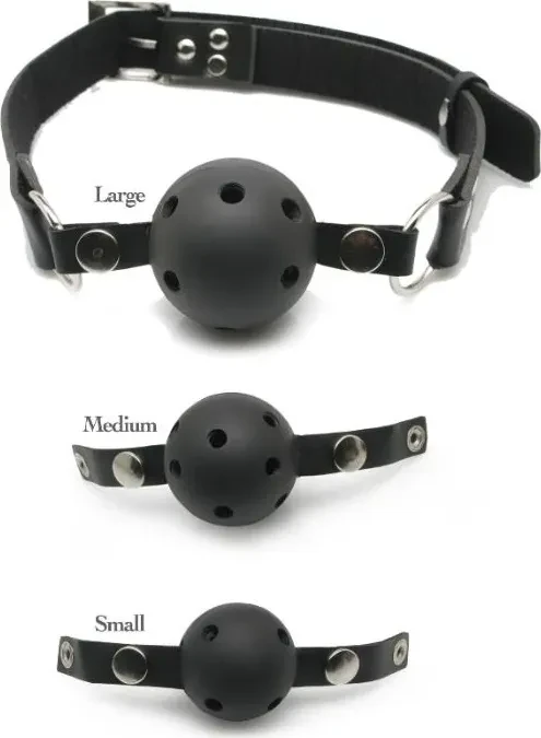 Pipedream Fetish Fantasy Ball Gag Training System Set