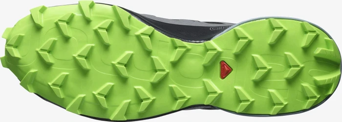 Salomon Speedcross 5 GTX black/quiet shade/green gecko (Herren)