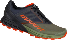 Dynafit Alpine winter moss/black out (Herren)