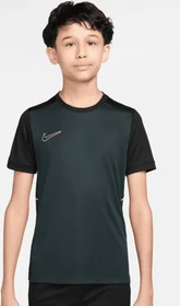 Nike Academy Dri-FIT Funktionsshirt kurzarm seaweed/black/limelight (Junior)