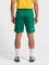 hummel Core XK Poly Trainingshose kurz grün Vorschaubild