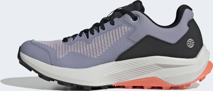 adidas Terrex Trailrider GTX silver violet/blue dawn/coral fusion (Damen)