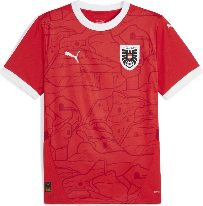 Puma UEFA EURO 2024 Österreich Heimtrikot (Herren)