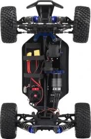 Reely Raptor 6S Buggy