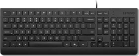 Lenovo Essential Wired Keyboard, schwarz, mit Copilot-Taste, USB, DE (4Y41R64647)