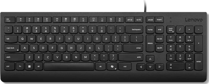 Lenovo Essential Wired Keyboard, schwarz, mit Copilot-Taste, USB, DE