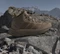adidas Terrex Freehiker 3 Gore-Tex Mid khaki six/brown oxide/dark brown (Herren) Vorschaubild